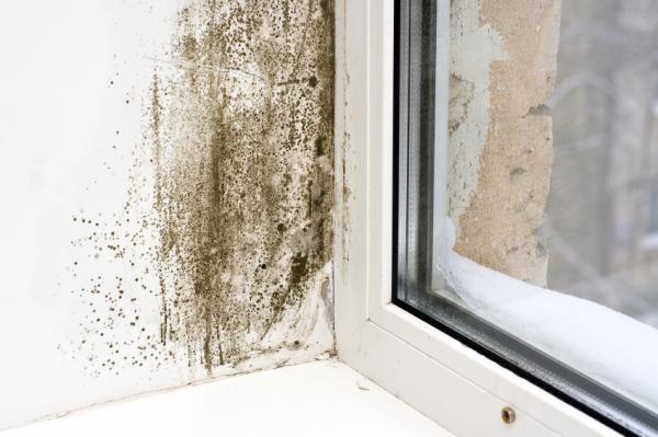 How to remove mold from the ceiling - Ventilate the room and repair the leak