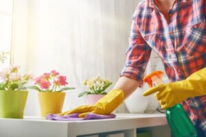 How to Disinfect the House from Viruses and Bacteria