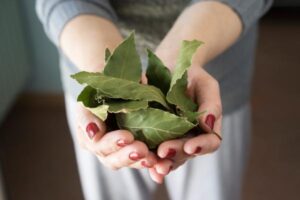 How to clean the house with bay leaf