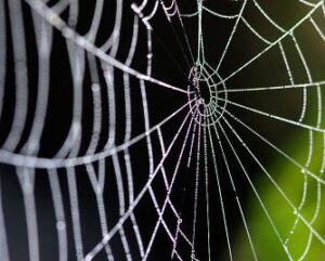 How to easily clean cobwebs